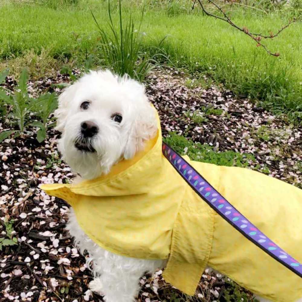 Meet your Posher, Leesa